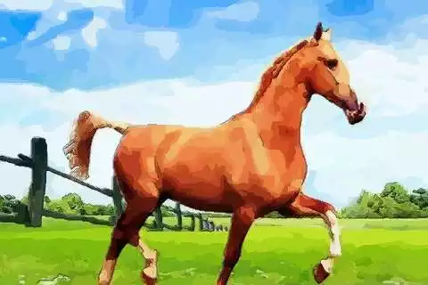 霸氣又聚財的名字大全好姓王：姓王霸氣的男孩名字大全