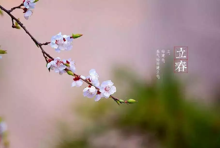 立春屬相怎麼避春方位：立春是不是屬相的分界線？