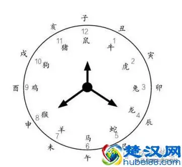五行屬水是值時刻照樣屬相：十二生肖什麼肖屬於水肖
