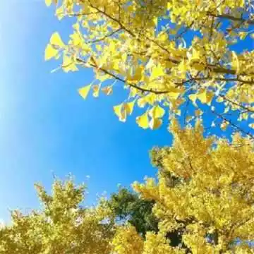 讓自己旺財最有效的方法：怎麼才能旺財