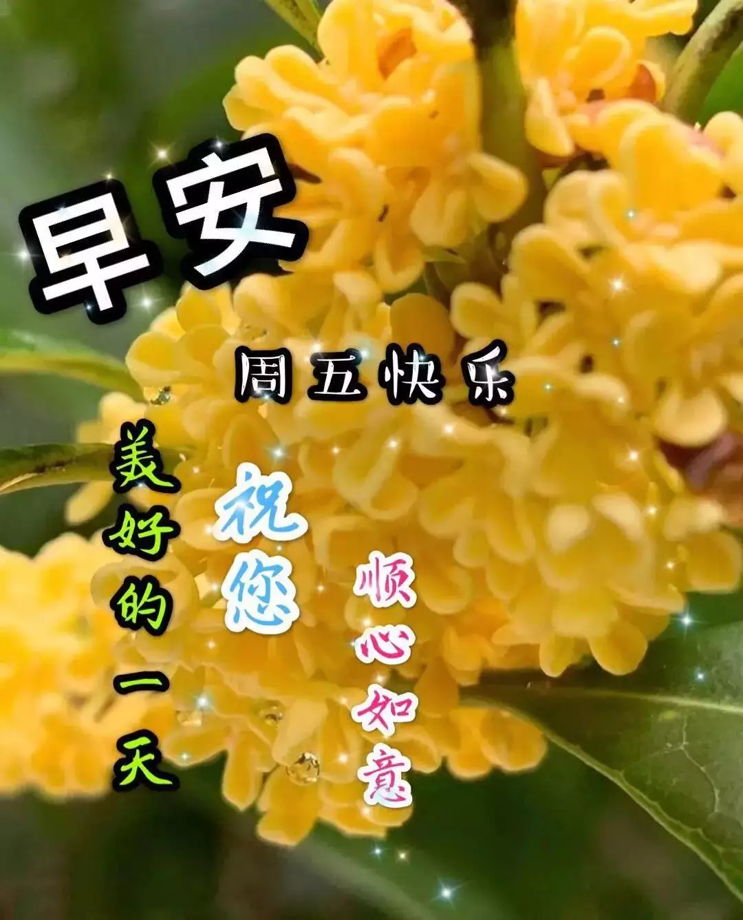 最漂亮好看的微信圖片：好看微信頭像圖片