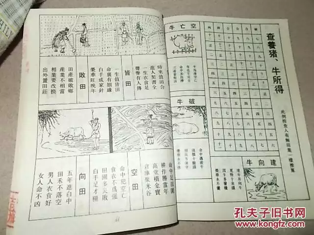 2、書查子女準確嗎:查舅舅女兒生子女和姑姑女兒生子女有血源關係嗎？