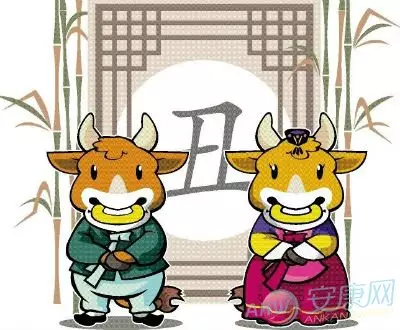 2、屬相牛女婚配大全:女人生肖屬牛和什麼生肖婚配