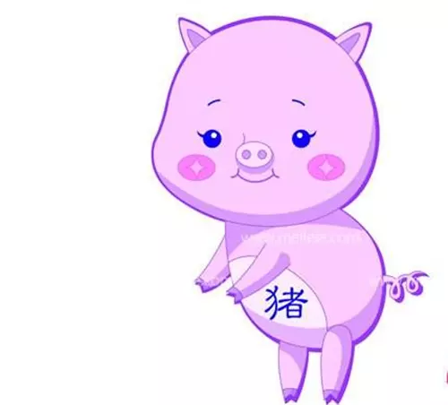 2、兔女雞男婚配欠好怎麼改善:女屬雞和男屬兔的相配嗎