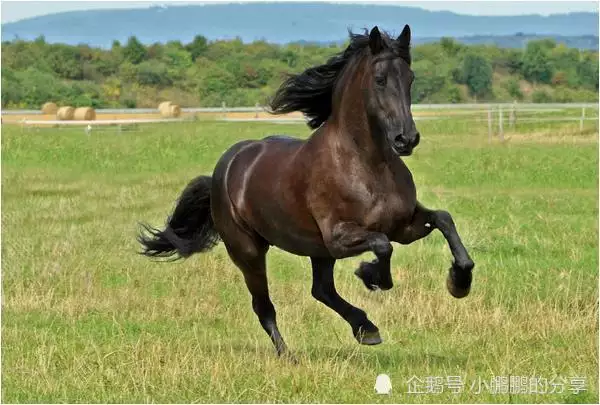 1、屬相婚配屬馬與蛇命運怎樣:屬蛇和屬馬相配嗎？