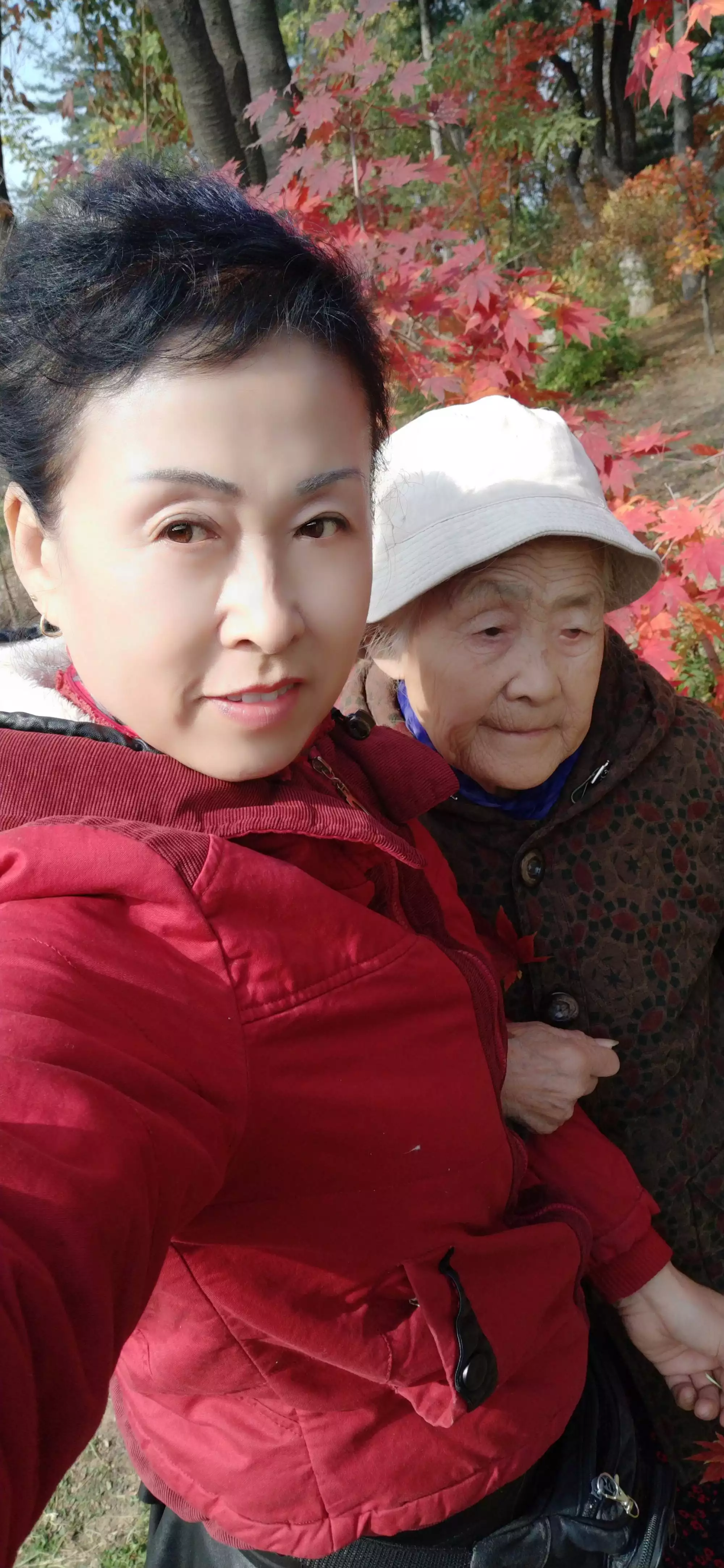 年屬相是哪個：年的生肖排位表