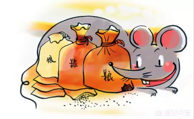 十個鼠九個苦是什麼意思：十鼠九苦是真的嗎？