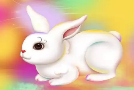 生肖兔的人，最容易對哪一個屬相的人發生好感？