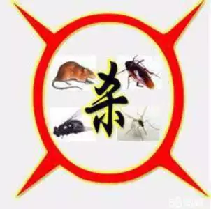 10、四害是哪四害:我國四害指的是哪四種