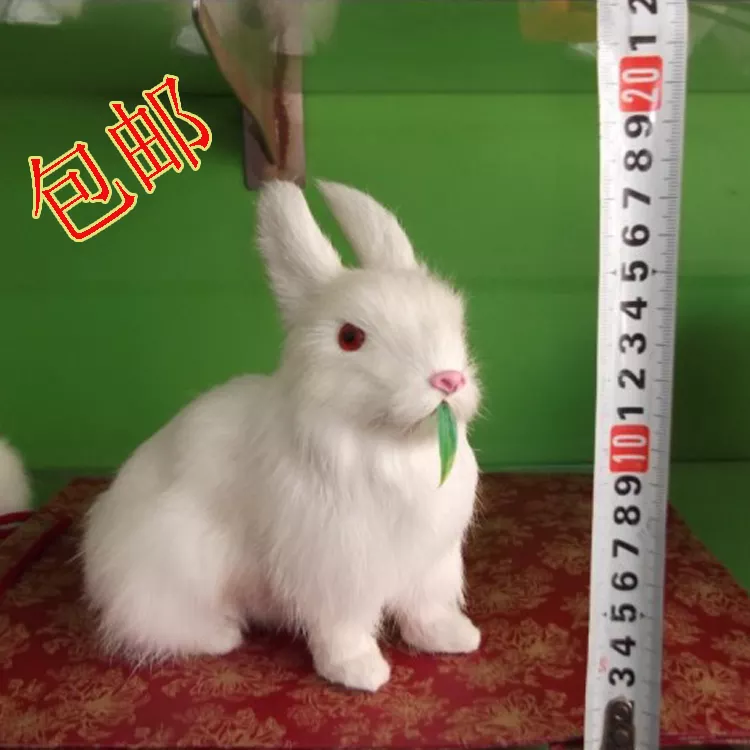2、屬狗和屬兔的適合做夫妻嗎:屬相婚配：男屬兔和女屬狗相配嗎？