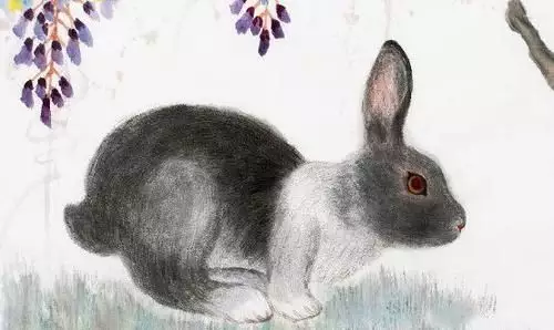 屬相測運勢有沒有依掘：生肖運勢准嗎？