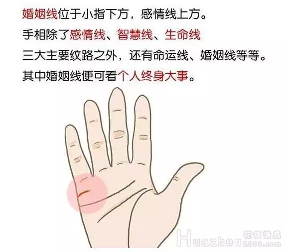 3、怎麼看自己的婚姻:怎麼知道一輩子自己有幾次婚姻