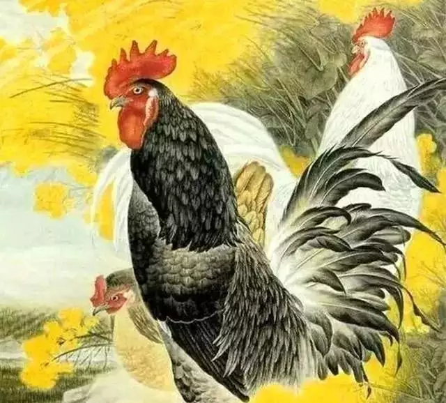 3、69年屬有幾段婚姻:69年屬和62年屬虎男的婚姻