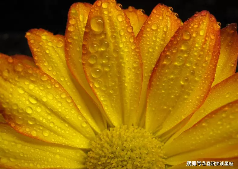 年輕時沒有本事的屬相：今生不富也貴的三大生肖，越老越悠閑，有你的生肖嗎？