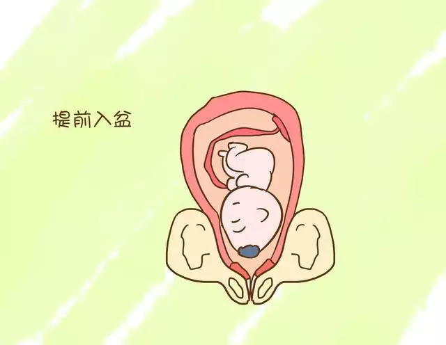 1、上一胎預知下一胎男女:人家說小孩出生頭上的漩左邊右邊下一胎男孩女孩嗎
