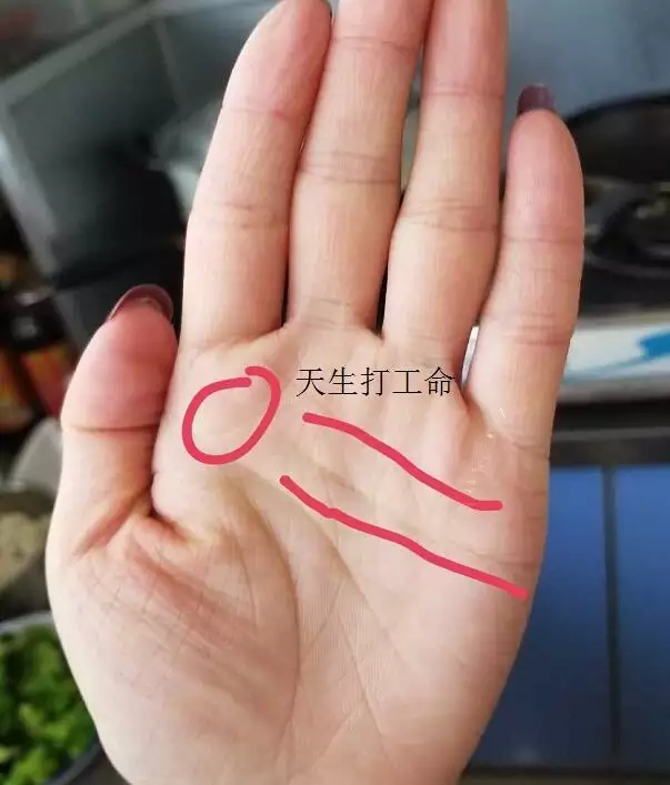 1、找個給算下命，我的雙手都是斷掌，是克妻子嗎？我的生日是年陰曆8月28日。給算下姻緣在哪，謝謝啦