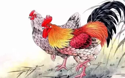 屬雞找什麼屬相的人最好：屬雞的找屬什麼的工具最好