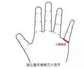 3、命中幾個孩子怎麼看:命中有幾個孩子查詢表