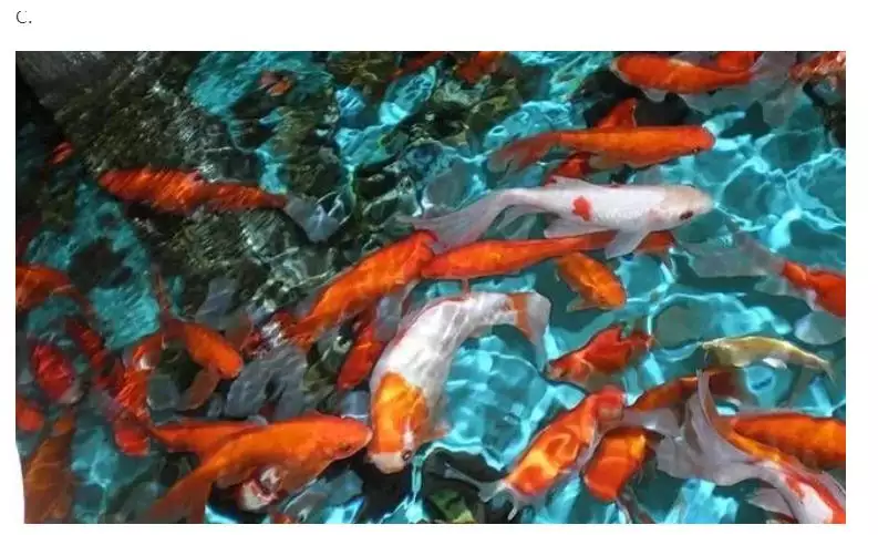 測你孩子有多大的福氣：孩子有多大的？