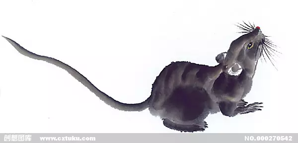 男虎女蛇在一起合適嗎：男虎跟女蛇配嗎？
