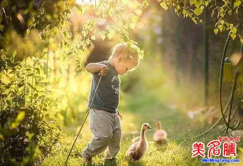 年幾月生：水墨先生預測年出生的男孩幾月命運最好？