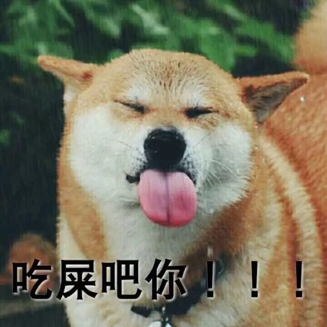 4、狗改不了文雅一點怎麼說:和“狗改不了”意思相同的文雅詞語有哪些？