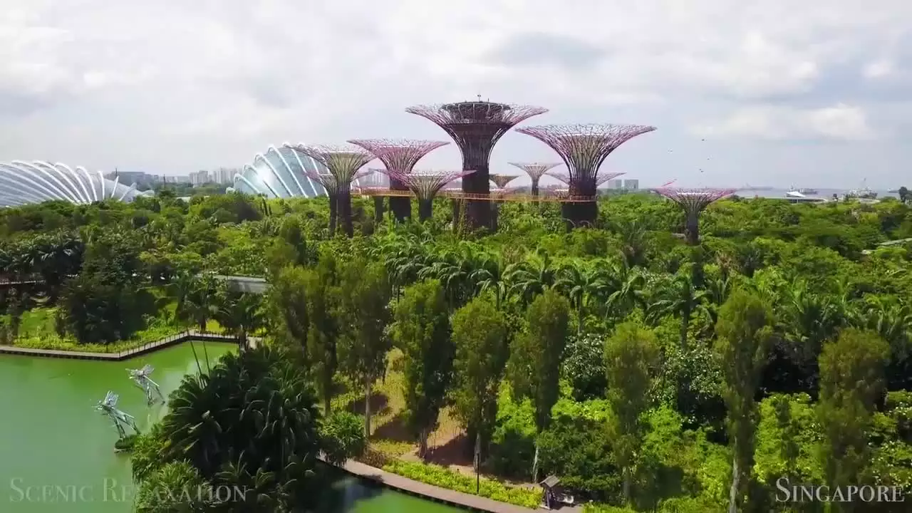 1、我的快樂就是想你陳雅森娶親配音:我的快樂就是想你的原唱是誰