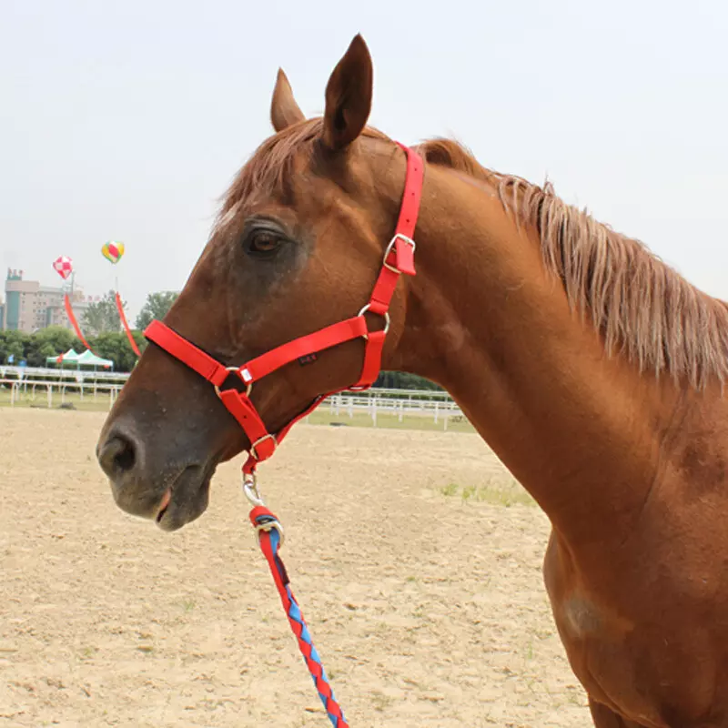 1、龍和馬相配嗎:龍和馬屬相配嗎