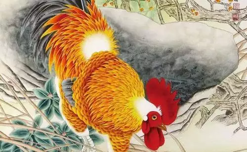 屬雞的和什麼屬相最好：屬雞的和什麼屬相最配 和什麼屬相不配