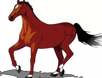 6、一九九零年屬馬的婚姻怎麼樣:一九九零年屬馬與那種屬相女子相配