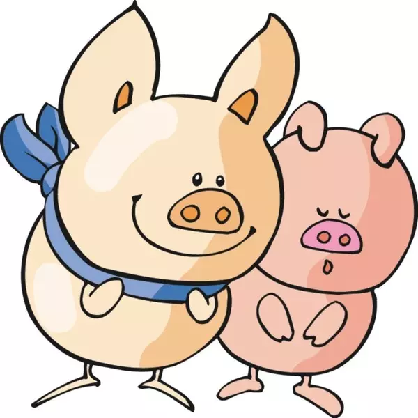 屬豬男和什麼屬相合適嗎：屬與屬豬男配嗎