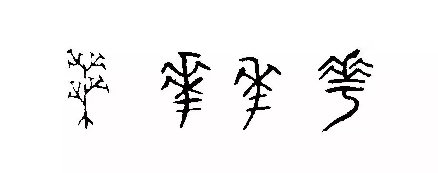 4、草字頭比較旺的字女孩:草字頭最吉利的字女孩？