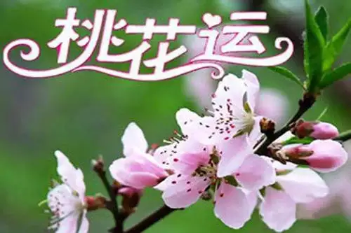 3、遇上好的桃花可以婚配嗎:正緣桃花和爛桃花的區別，若何旺正緣桃花