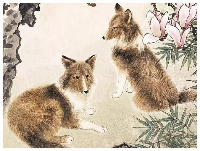 年屬狗人的全年運勢女性：82年屬狗未來5年運勢？