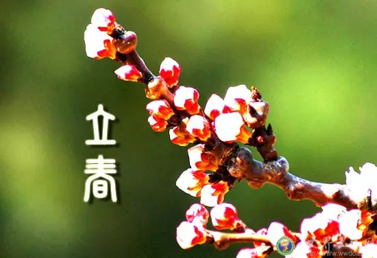 立春躲春屬相：年什麼人需要躲春