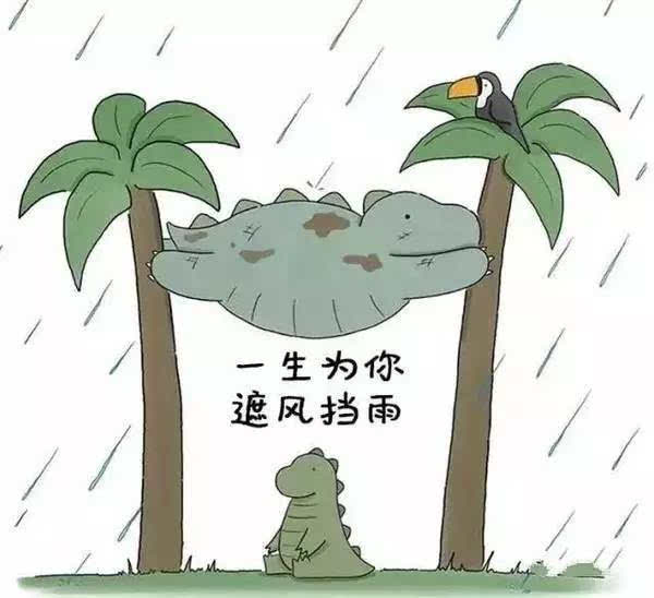 4、年8月6日為什麼要哭:為什麼四恭弘=叶 恭弘草都說不能哭？