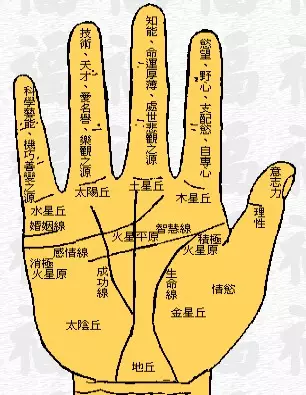 4、如何看手相算命圖解女性:女人看手相算命圖解。。。。