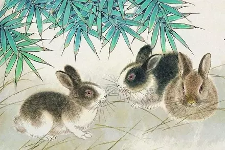 年兔年每月運勢：年屬兔是甚麼星座