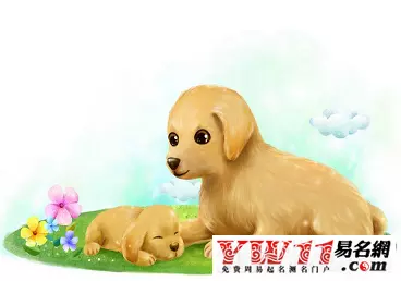 一胎屬狗二胎什麼屬相好：父母屬羊,一胎屬狗二胎屬什麼好?