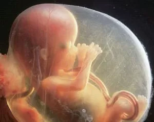 2、科學懷男孩的方法有哪些:怎樣才能懷男孩？生男孩的科學方法有哪些？