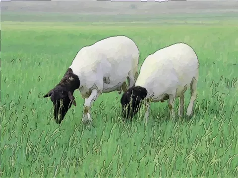 屬狗雞羊豬馬的屬相相衝嗎：屬狗的和什麼屬相相衝