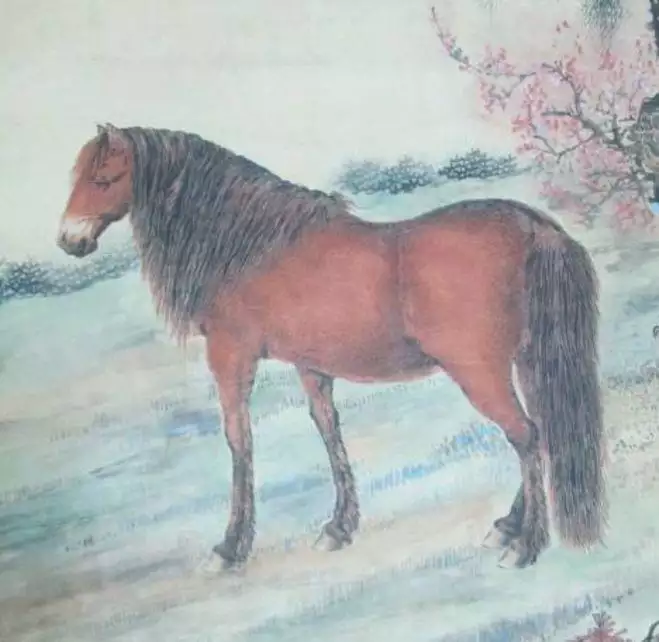 6、78屬馬三大劫難都那年:年屬馬是什麼命