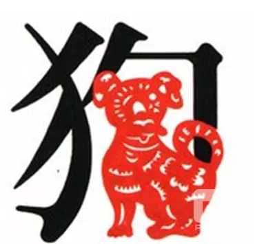 年屬狗跟什麼屬相最配：屬狗的男人和什麼屬相最配