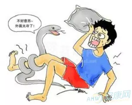 夢見別人把我屬相殺了：夢見把自己生肖兔子給打死了是什麼意思？