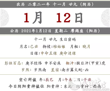屬鼠農曆十一月生的命運如何：生肖鼠的人出生，十一月，十二月命運如何？