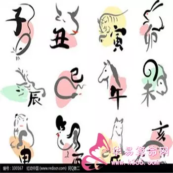 2、86屬虎的女人適合做什麼生意:年屬虎的女人一生的財運