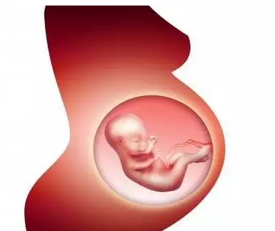 懷孕幾個月能看出男女最准：有胎心看男女的說法嗎