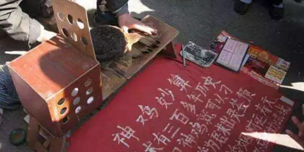 4、一生命運算命:算命算下一生命運，高分