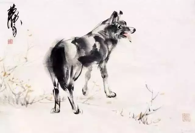 兔和狗屬相合的屬相合不合：屬狗的和屬兔的相配嗎?