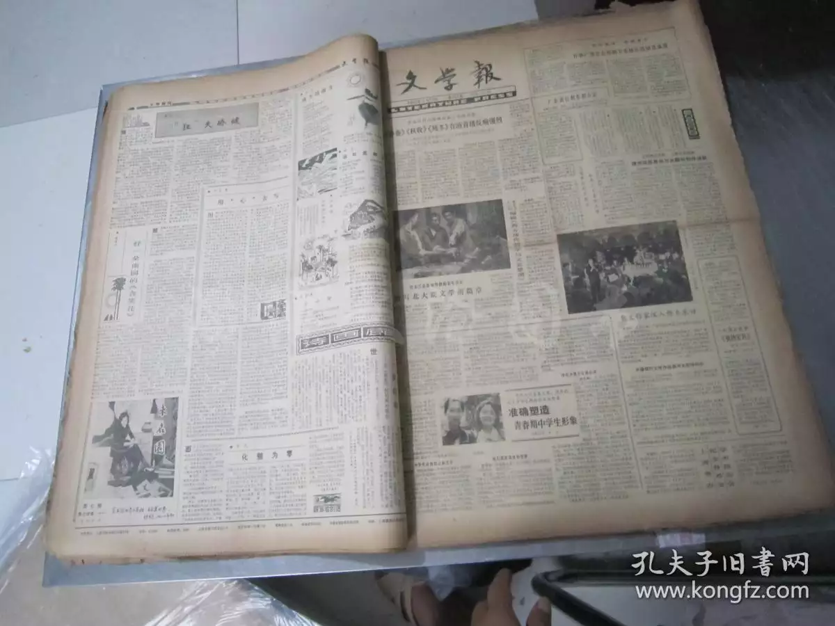 87年陽曆1月21是什麼屬相：年屬什麼一月二十一號是什麼屬相